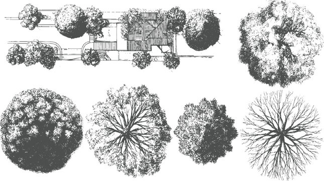 Down view of architectural with trees and house aerial overhead plan