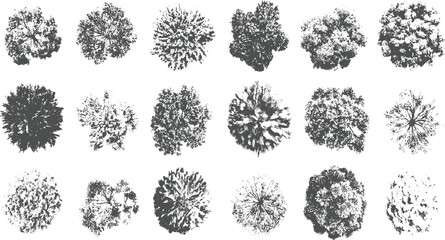 Collection of fifteen grey tree tops viewed from directly above on a white background trees aerial overhead © appl