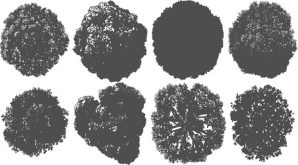 Eight dark grey abstract organic shapes resembling foliage clusters on white background © appl