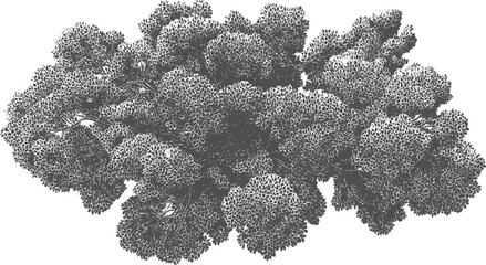 Detailed grey of dense foliage with intricate leaf patterns and visible branches leaves