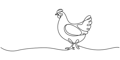 Obraz premium Continuous one line drawing of hen. One line drawing illustration of chicken. Farm animal, poultry concept single line. Editable outline. Elegant hen line art minimalist design farm animal.