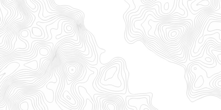 Abstract topography pattern seamless lines sea map modern design white background. Abstract digital topographic contour map concept space geometric strip grid line. Natural discovery of maps.