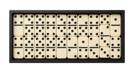 Dominoes Game Set in Black Tray, Classic Board Game, Strategy and Fun