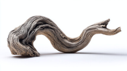 A close-up shot of a unique, weathered piece of driftwood, showcasing its natural curves and textures