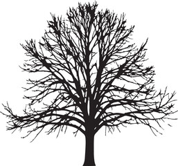 Obraz premium Dead Tree Silhouette Vector - Winter Bare Tree Branch Illustration Collection