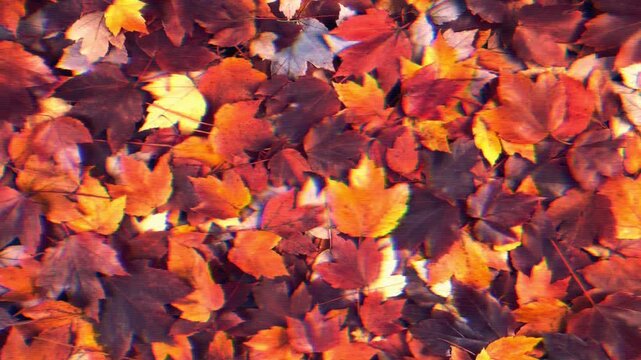 Abstract pixelated interlaced Orange autumn leaves texture, cyber fall retro Glitch TV Static pixel Noise animation background. Retro futuristic autumn sale glitched cyberpunk, 80s, 90s, 2000s banner