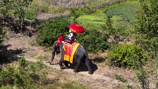 Aerial View of Elephant Trekking with Tourists in Ayutthaya Thailand
