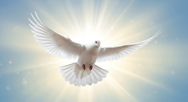 Paloma blanca en vuelo, s&iacute;mbolo de libertad y esperanza, Paloma en movimiento, representando la paz y la serenidad, esp&iacute;ritu santo, Dios esperanza y alegr&iacute;a en el coraz&oacute;n