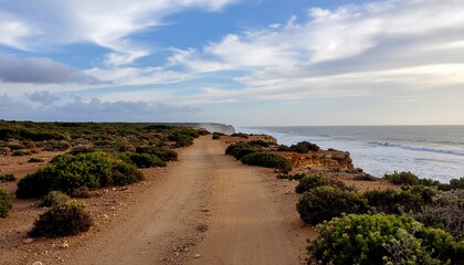Coastal dirt road leading towards the ocean with rugged cliffs and sparse vegetation under a cloudy sky