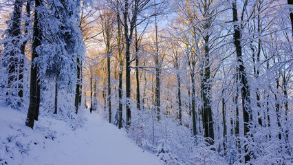 Piękny zimowy górski las w białej szacie © kubikactive