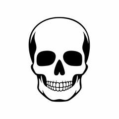 human skull vector illustration