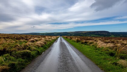 A wet, empty, rural road stretches into the distance under a cloudy sky, surrounded by dry grass