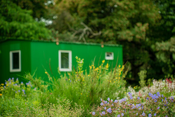 Brightly colored flowers flourish around a charming green shed under a peaceful sky