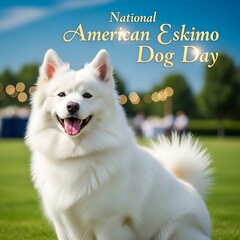 Celebrating national american eskimo dog day