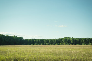 Fototapeta premium Grassy open field with treeline near Traverse City, Michigan
