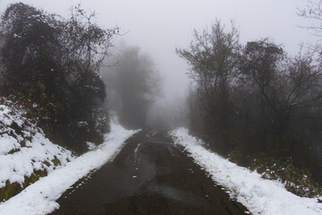 Scenic winter view of a lonely road covered in white snow on the sides passing through a dense misty woodland