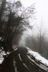 Cold seasonal transition showing a wet dark path between snowy banks and bare trees under a heavy foggy winter sky