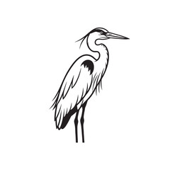 Fototapeta premium Elegant Heron Illustration with Detailed Line Work