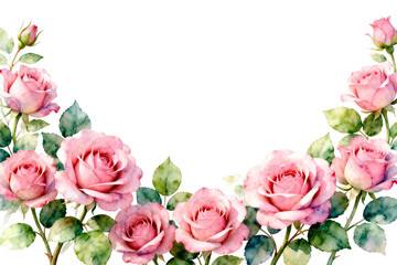Watercolor Pink Roses Arrangement Illustration