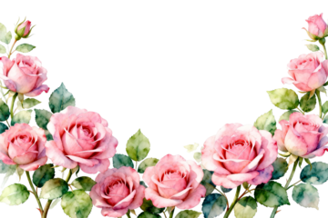 Watercolor Pink Roses Arrangement Illustration