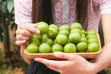 Fresh Green Sichuan Plums in Wooden Tray Held by Woman