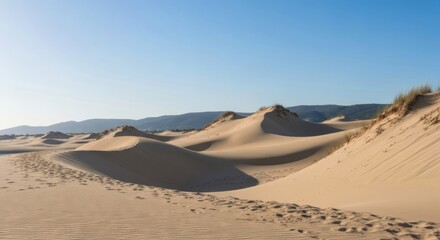 Vast expanse of pale beige sand dunes under a clear blue sky. Footprints trace paths across the undulating landscape