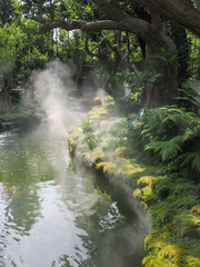 wild green fern leaves in tropical waterfall rainforest nature background