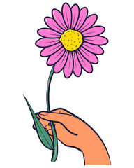 Hand holding wildflower. Floral springtime hand drawn illustration.
