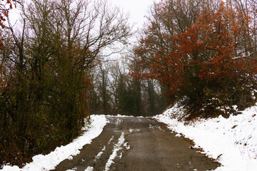 A scenic asphalt mountain road winding through a quiet forest with fresh white snow covering the roadsides on winter day