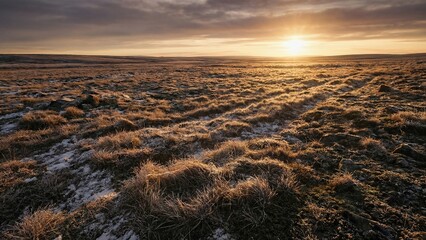 Naklejka premium Nordic landscape featuring a frosty field with dry grass at sunrise. Scenic view of winter nature for travel and wilderness exploration.
