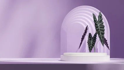 Keuken spatwand met foto Purper in landscape arch backdrop, 3d render image mockup space purple color curved cylinder  © Faustudio