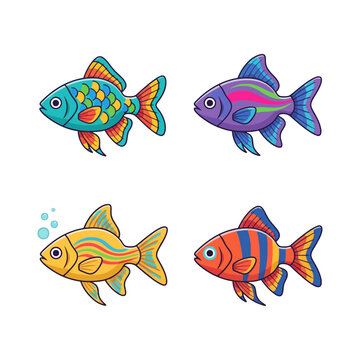 Vibrant Rainbowfish Swimming in Clear Waters