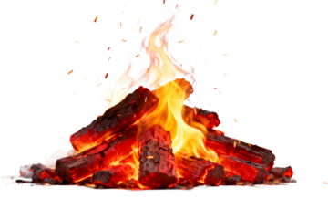 Burning Wood Logs with Flames and Embers