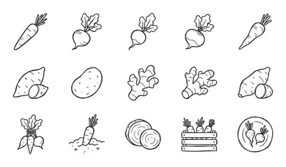 Fototapeta premium Collection of hand-drawn root vegetable icons including carrots, radishes, potatoes, and ginger in a simple black and white doodle style for healthy food concepts