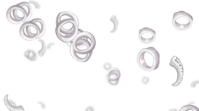 White Background Animation of Falling Octopus Tentacle Rings