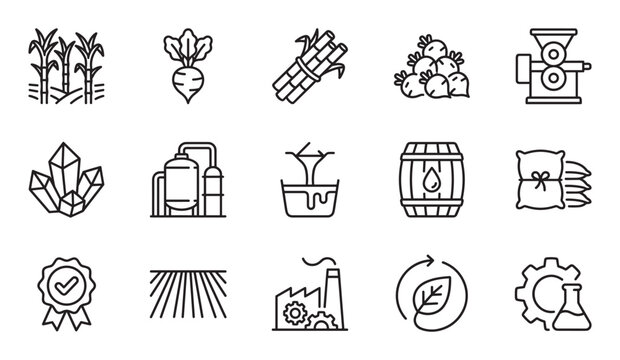 Set of black line icons illustrating sugar production from sugarcane and beet, including farming, factory refining, industrial processing, and final products like crystals and molasses