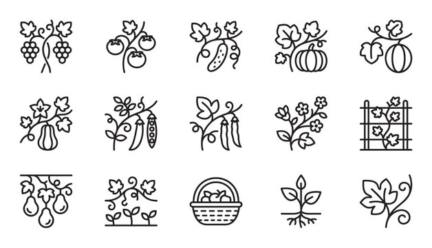Collection of minimalist black outline icons illustrates different garden plants, fruits, and vegetables such as grapes, tomatoes, cucumbers, and peas growing on vines and stems