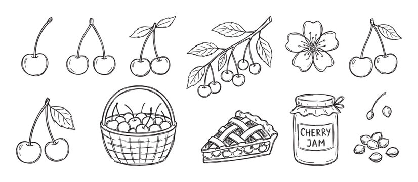 Hand-drawn cherry illustration set with various elements including fresh berries, a pie slice, jam jar, basket, flower, and branch in a charming black and white doodle sketch style