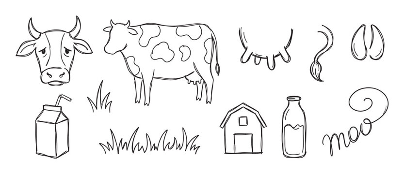 Collection of hand-drawn cow and dairy icons featuring a spotted farm animal, milk carton, barn, udder, and grass in a simple, charming line art style