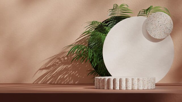 seamless shadow animation looping with white circle and aracea palm, 3d render footage empty scene of natural terrazzo podium