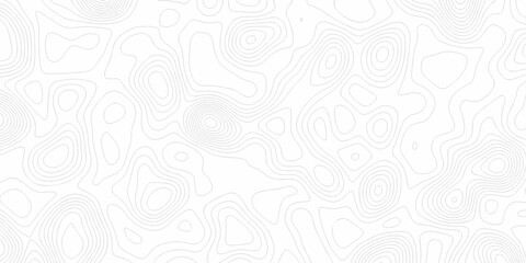 Minimal Lines Topographic contour lines grid map seamless pattern. Minimal Lines Topographic contour lines grid map seamless pattern. Background of the topography map with lines. © Elana