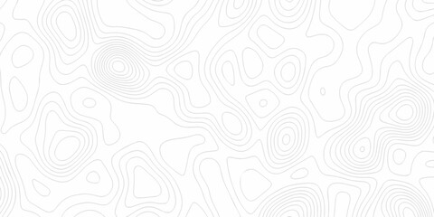 Minimal Lines Topographic contour lines grid map seamless pattern. Minimal Lines Topographic contour lines grid map seamless pattern. Background of the topography map with lines.