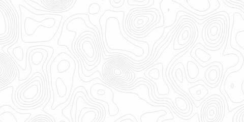 Minimal Lines Topographic contour lines grid map seamless pattern. Minimal Lines Topographic contour lines grid map seamless pattern. Background of the topography map with lines. © Elana