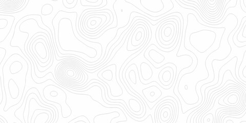 Minimal Lines Topographic contour lines grid map seamless pattern. Minimal Lines Topographic contour lines grid map seamless pattern. Background of the topography map with lines. © Elana