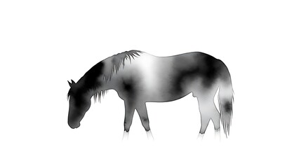 Watercolor Silhouette of a Grazing Horse 