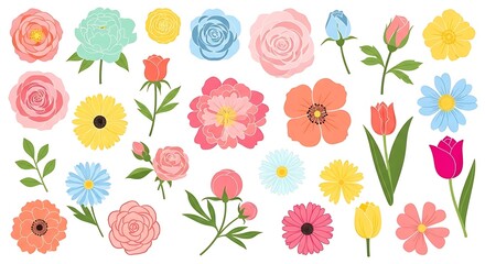 A large set of vector spring and summer flowers isolated on white background including roses peonies tulips daisies gerbera bright colorful floral design elements collection for decorations
