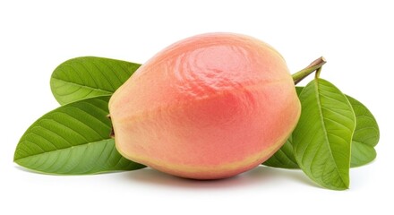 A single guava fruit with green leaves on a white background.