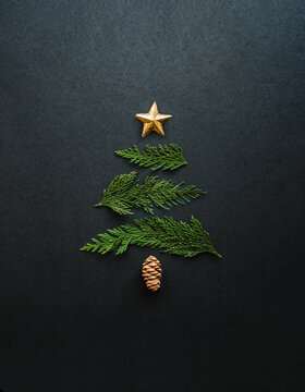 Simple Christmas tree shape made of cedar boughs on black background.