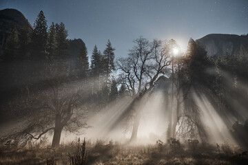Moonlit Fog in Yosemite's Merced Meadow