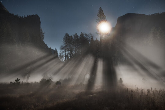 Moonlit Fog in Yosemite's Merced Meadow